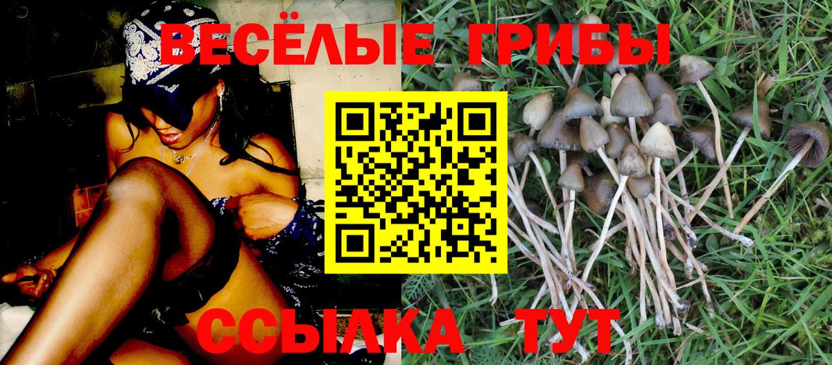 закладка  Вход с VPN  Лесной  Псилоцибиновые грибы прущие грибы 
