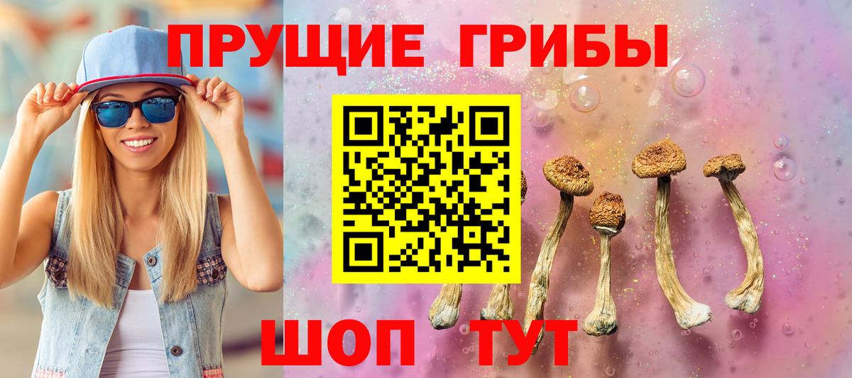 Галлюциногенные грибы GOLDEN TEACHER Лесной